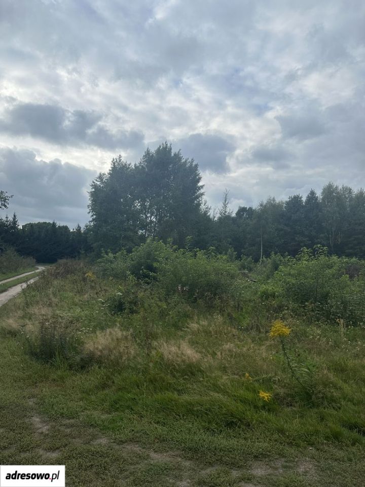 Działka na sprzedaż bez pośredników          
          
            ul. Ochla-Pustynna          
          
            Zielona Góra Ochla