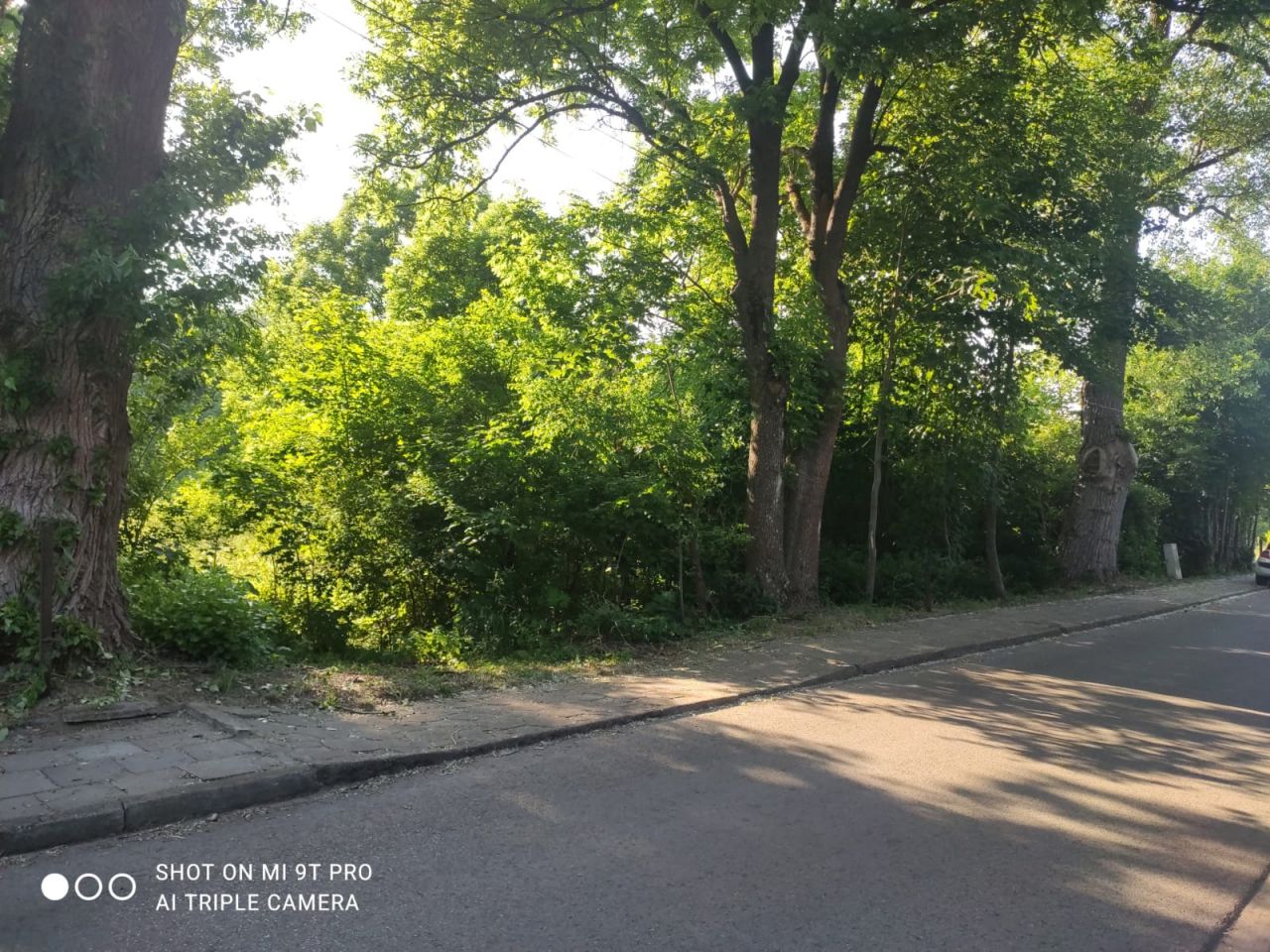 Działka rolno-budowlana Rydzewo. Zdjęcie 3