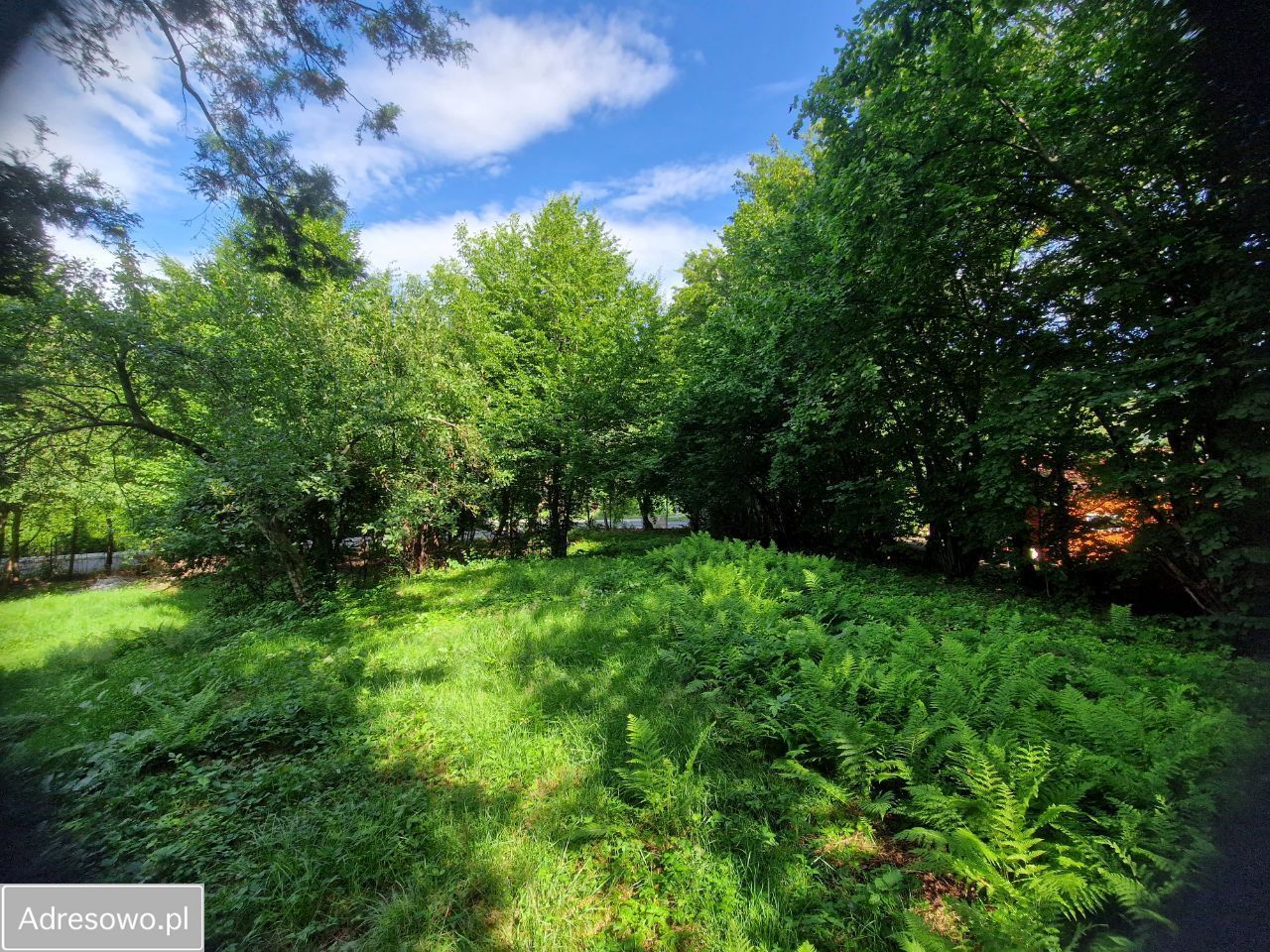 Działka inwestycyjna Bielsko-Biała Olszówka Górna, ul. Żołędziowa