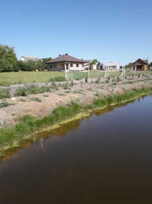 Działka siedliskowa Bytoń. Zdjęcie 7