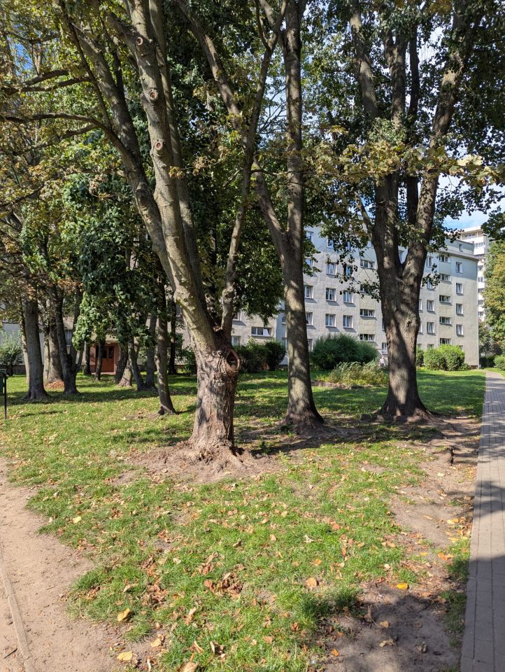 Mieszkanie 3-pokojowe Szczecin Centrum, ul. Odzieżowa. Zdjęcie 22