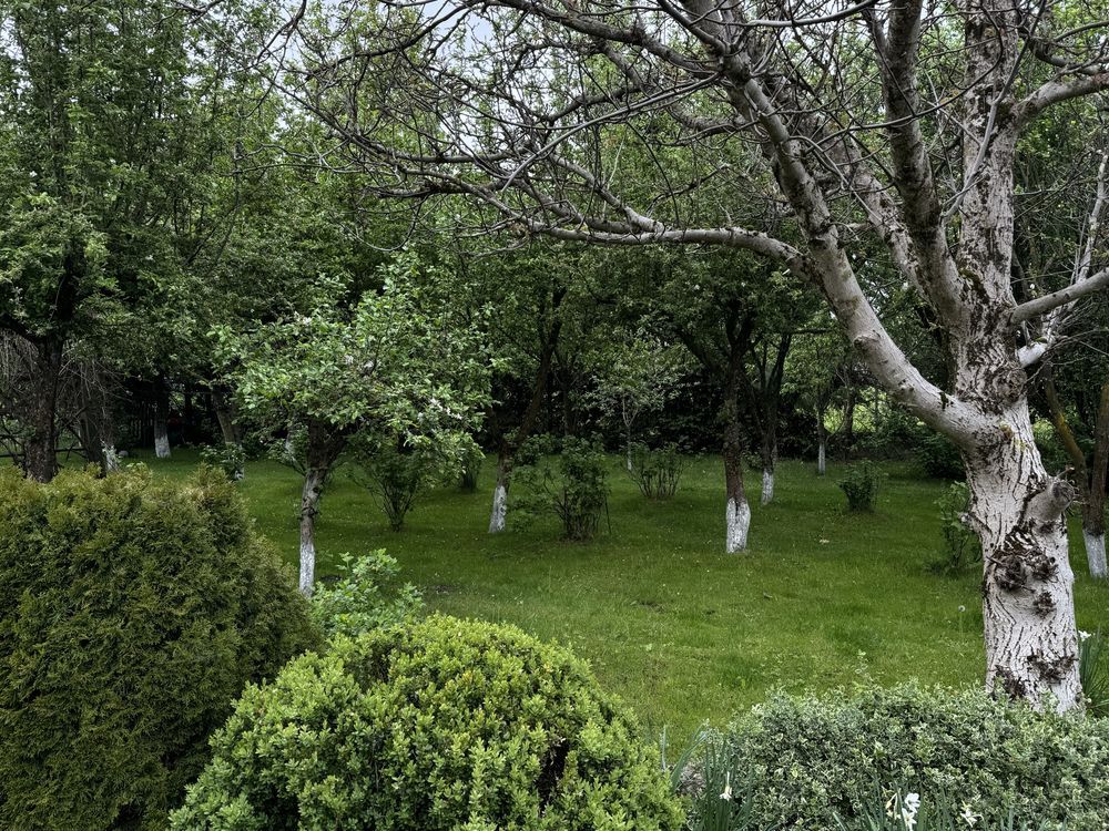 dom wolnostojący, 3 pokoje Kowalewo. Zdjęcie 2