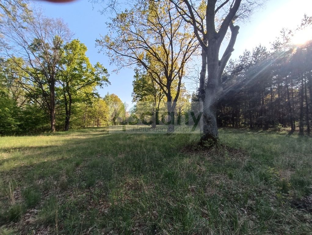 Działka budowlana Jabłonna. Zdjęcie 6