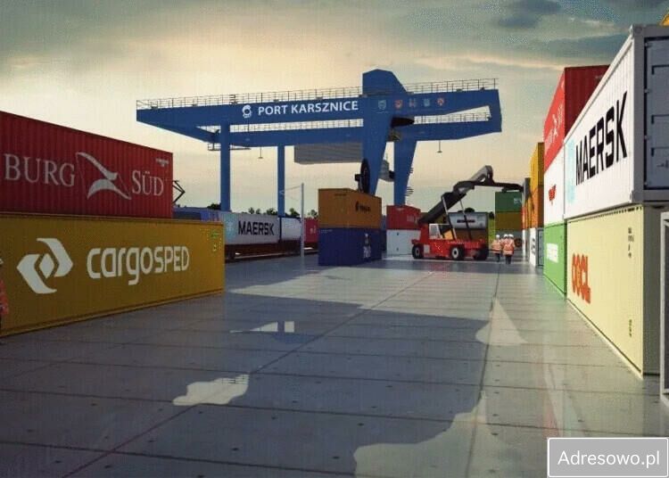 Działka rolna Zduńska Wola. Zdjęcie 9