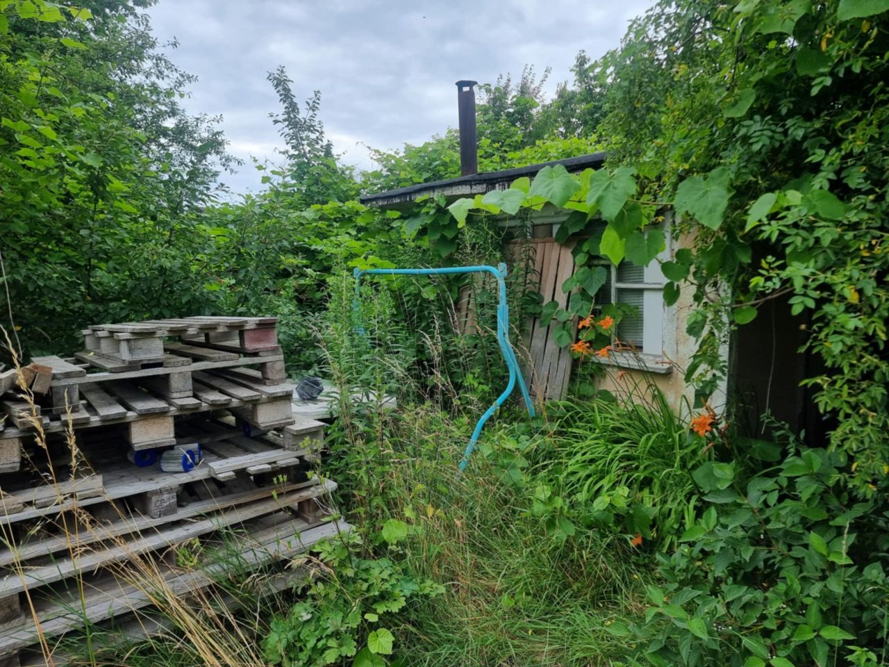 Działka rekreacyjna Piechcin. Zdjęcie 18