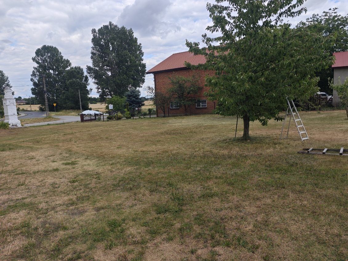 Działka na sprzedaż bez pośredników
Bujny