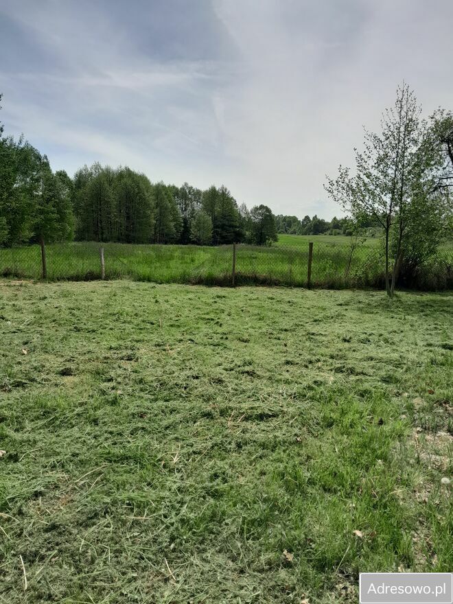 Działka budowlana Grodzisko. Zdjęcie 6