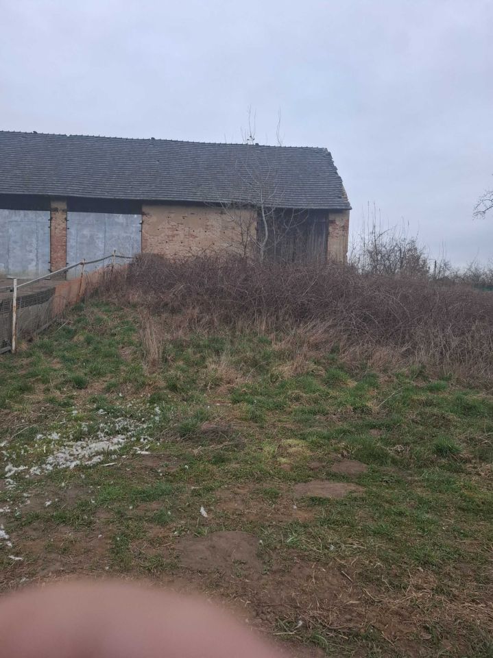 gospodarstwo Magnuszowice. Zdjęcie 5