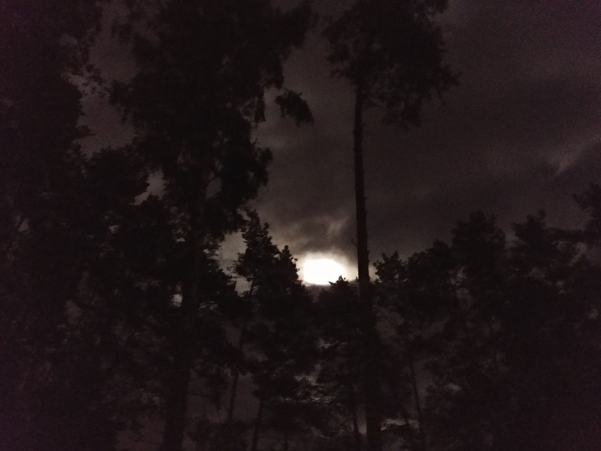 Działka budowlana Zofiówka, ul. Cienista. Zdjęcie 18