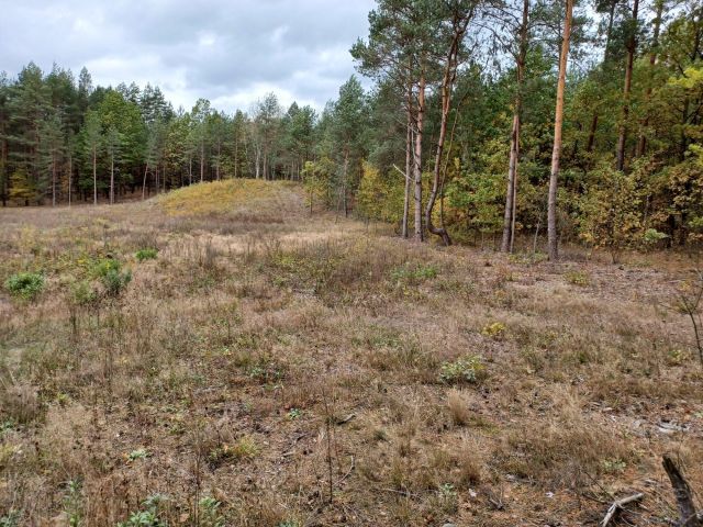 Działka rolno-budowlana Sochonie, ul. Brzozowa. Zdjęcie 1