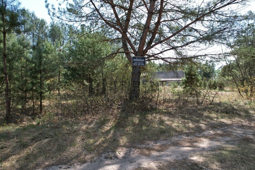 Działka rekreacyjna Dzbądzek. Zdjęcie 23