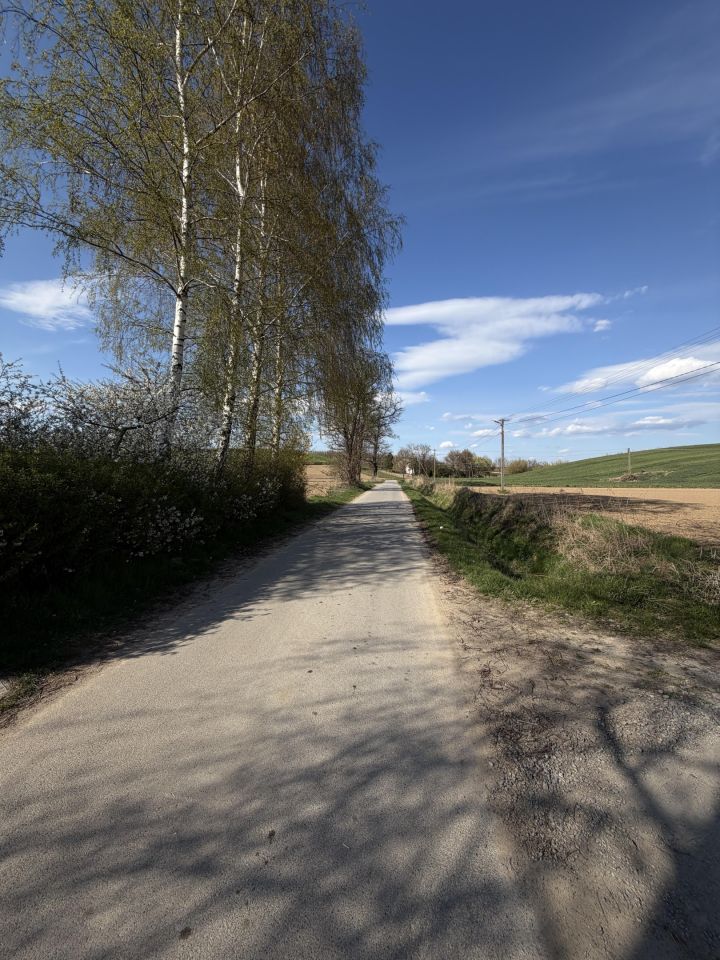 dom wolnostojący, 2 pokoje Przezwody. Zdjęcie 7