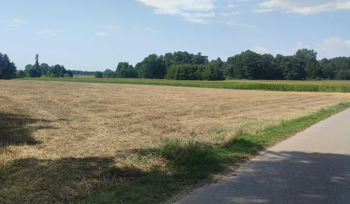 Działka rolna Grabów