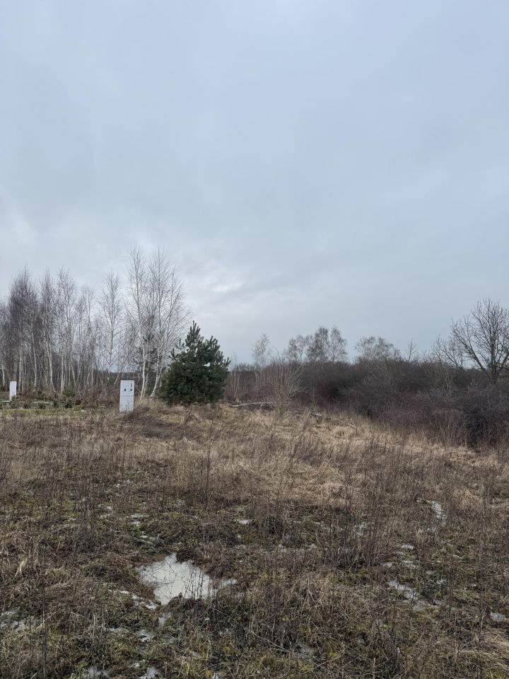 Działka budowlana Tryszczyn, ul. Warzywna. Zdjęcie 6