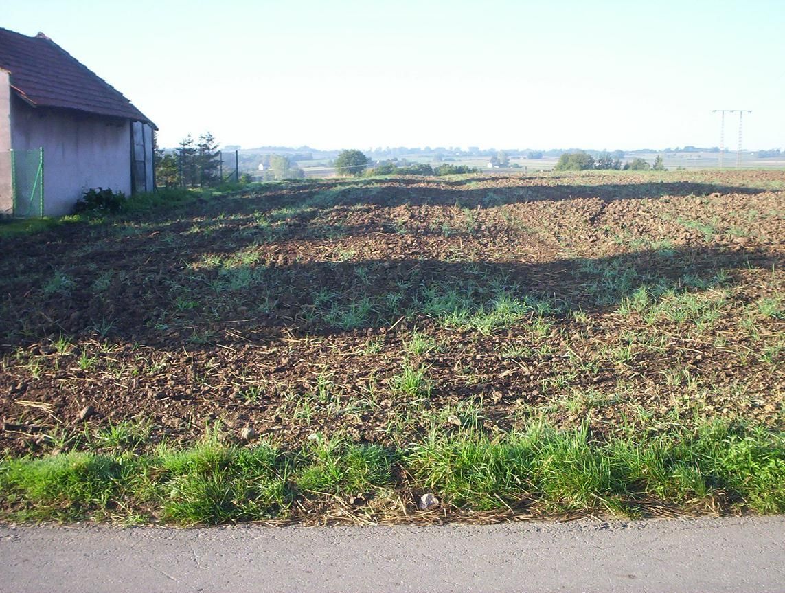 Działka rolno-budowlana Odonów Peperówka. Zdjęcie 2