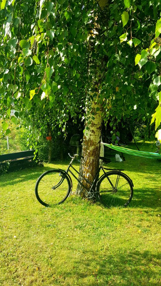 Działka rod Sępopol. Zdjęcie 3