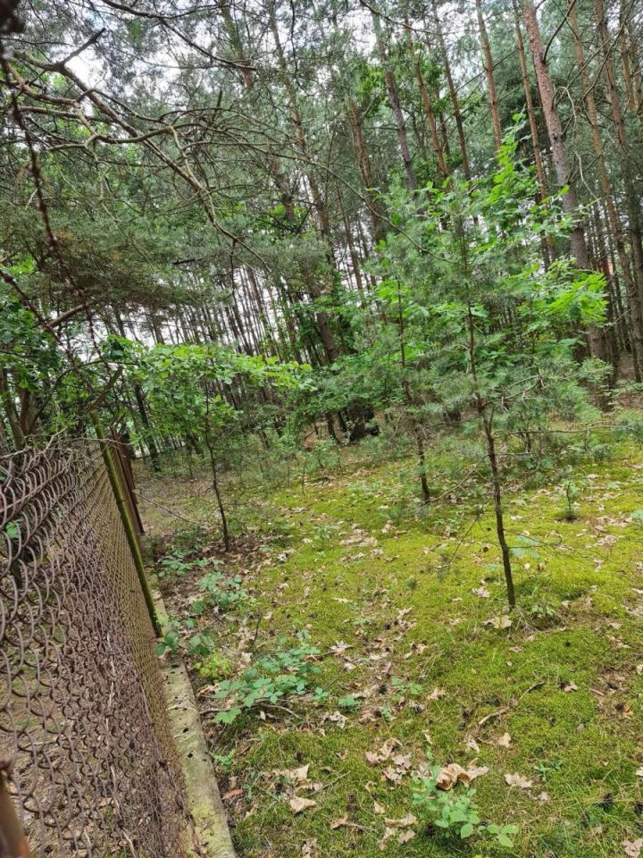 Działka budowlana Oleszno, ul. Lednicka. Zdjęcie 11