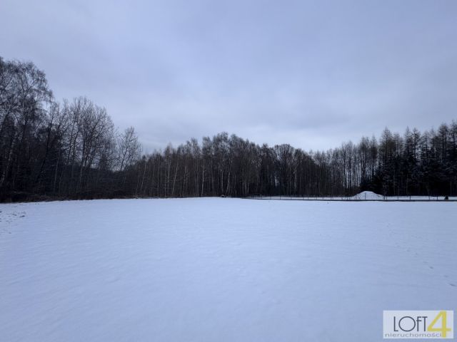 Działka rolno-budowlana Wojnicz. Zdjęcie 10