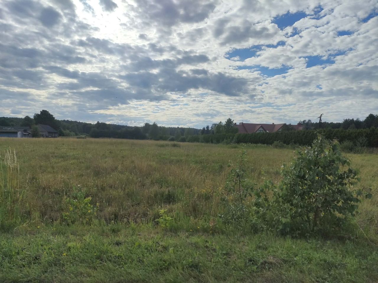 Działka budowlana Adamów. Zdjęcie 4