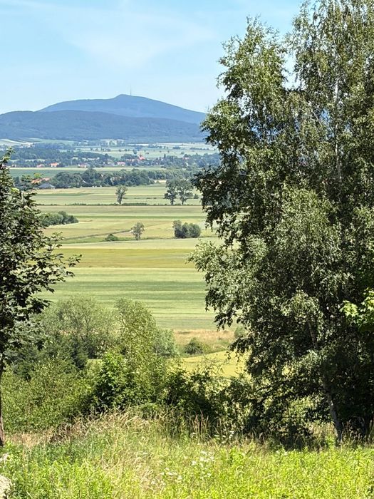 Działka budowlana Lutomia Górna. Zdjęcie 4
