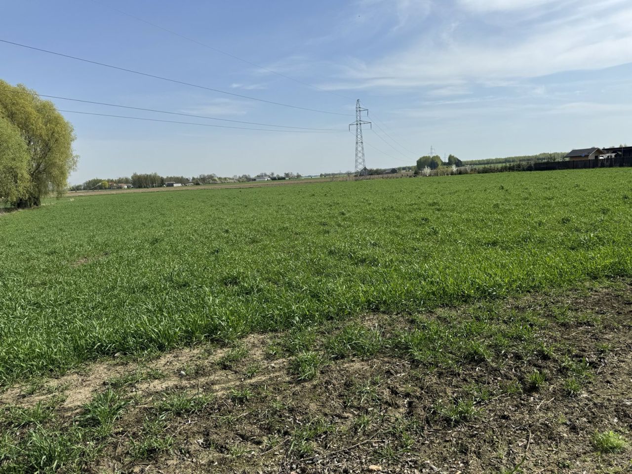 Działka rolna Siedlin. Zdjęcie 4