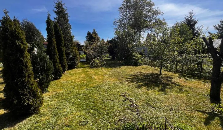 Działka rod Warszawa Paluch, ul. Działkowa