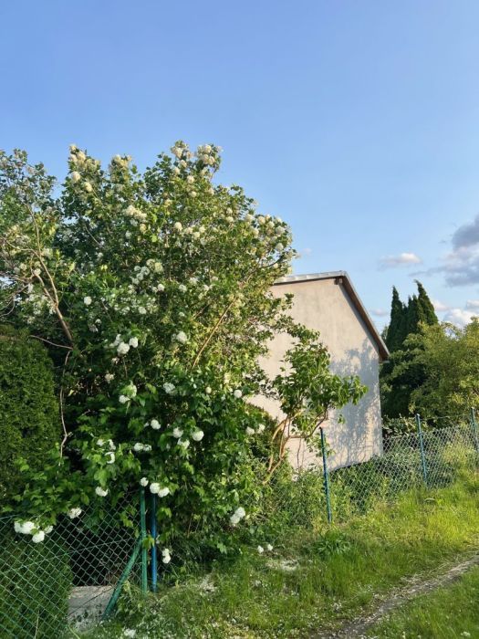 Działka rod Rumia, ul. Hodowlana. Zdjęcie 2