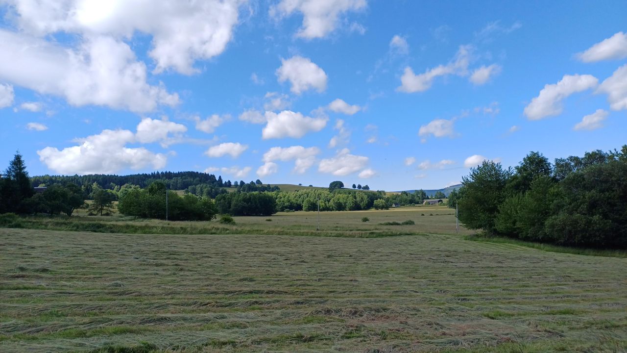 Działka rolna Krajanów. Zdjęcie 9