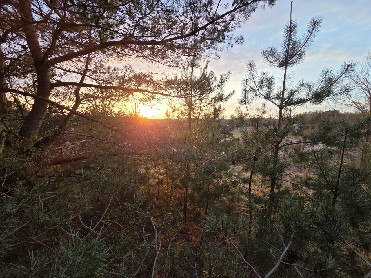 Działka rolno-budowlana Sznurki, Świerkowa. Zdjęcie 6