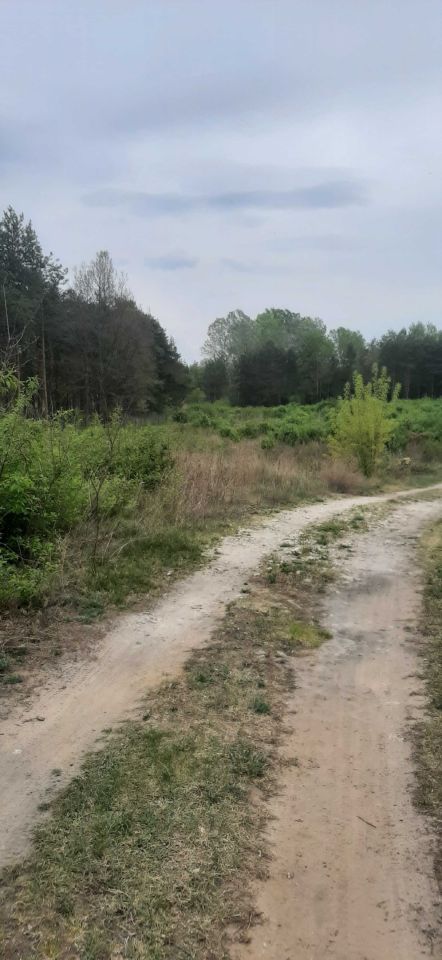 Działka budowlana Helenka. Zdjęcie 8