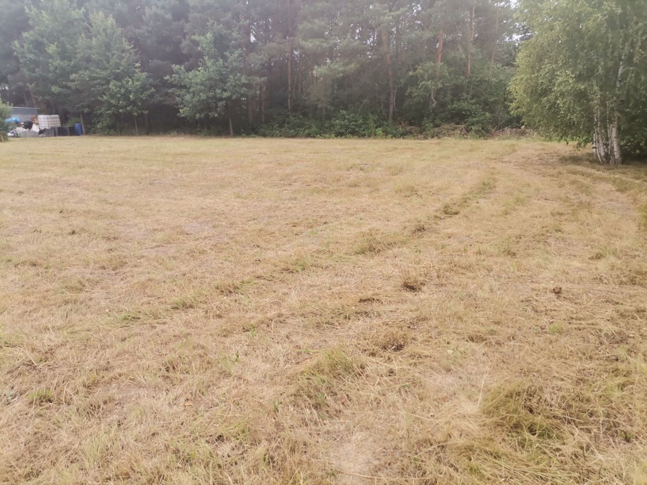 Działka budowlana Kolonia Lesiów. Zdjęcie 7