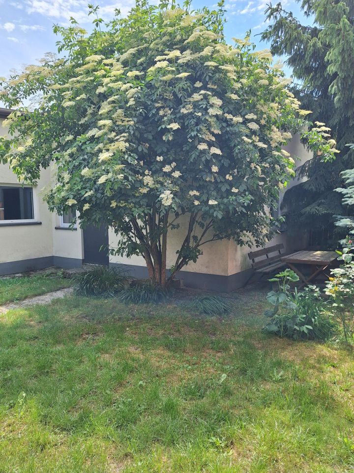 dom wolnostojący, 5 pokoi Łęczyca, Łęczyca. Zdjęcie 12