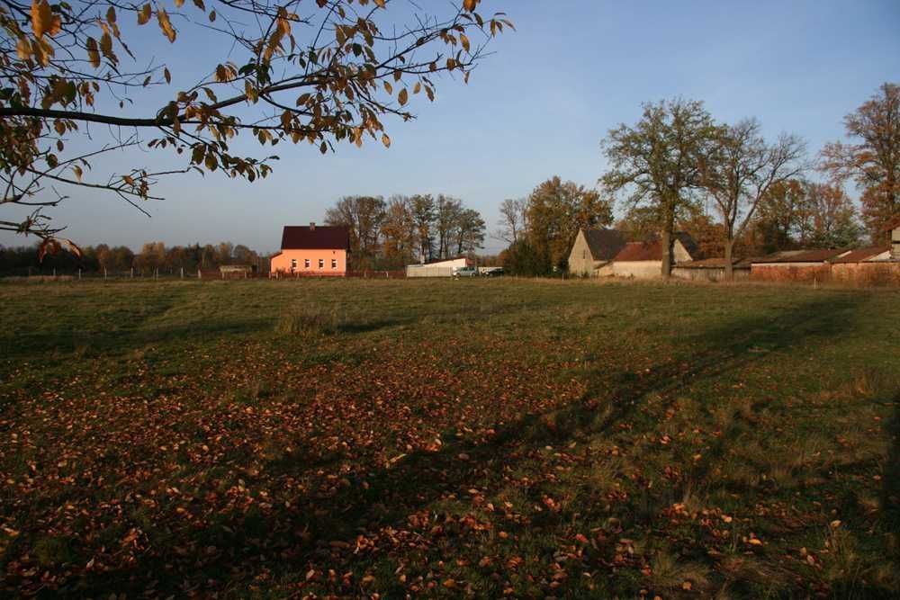 Działka budowlana Ruszów, ul. Leśna. Zdjęcie 3