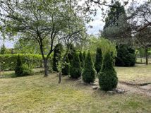 Działka rod Będzin Małobądz. Zdjęcie 2