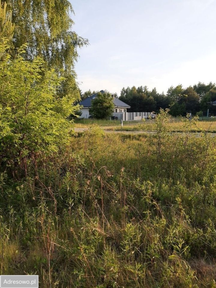 Działka budowlana Głogów Małopolski, ul. Gryczana . Zdjęcie 7