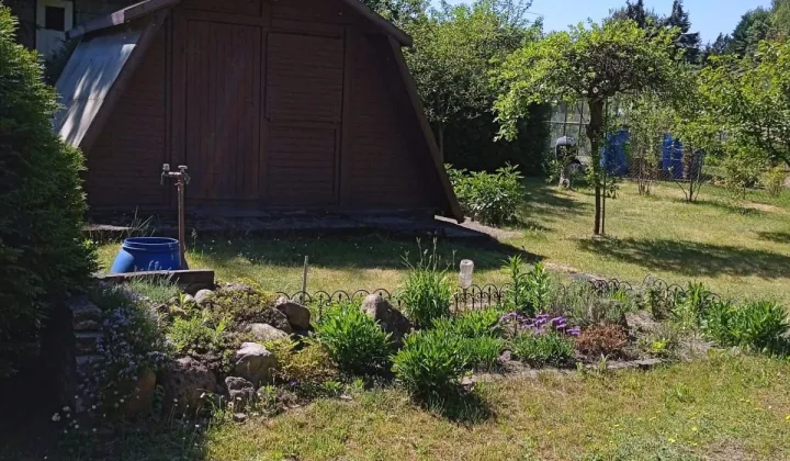 Działka rod Łódź Bałuty, ul. Hodowlana