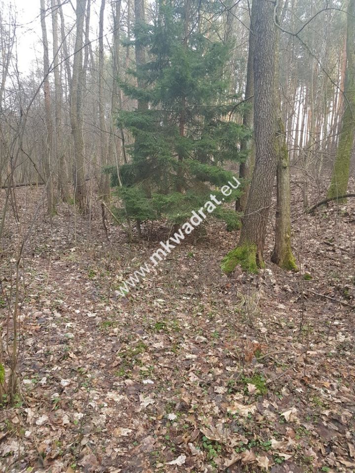 Działka budowlana Bieniewiec. Zdjęcie 6