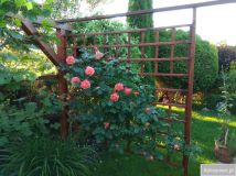 Działka rod Tarnobrzeg. Zdjęcie 1