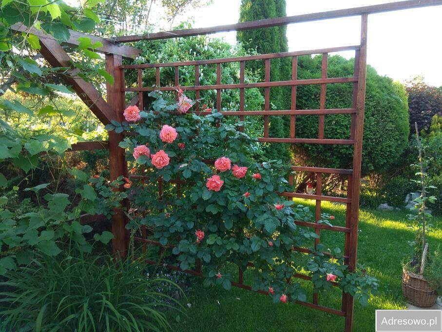 Działka rod Tarnobrzeg. Zdjęcie 2