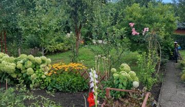 Działka rod Zielona Góra Zacisze, ul. Kręta