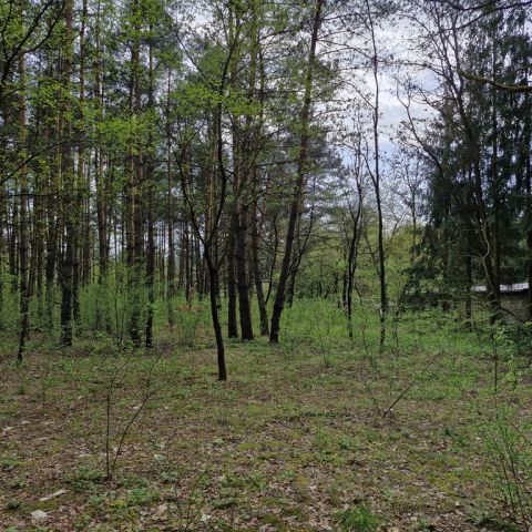 Działka rekreacyjna Osiedle Wilga. Zdjęcie 5