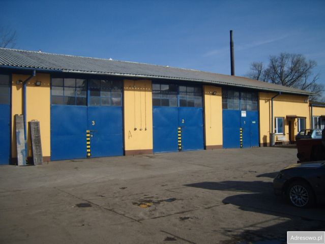 Działka inwestycyjna Biała Podlaska. Zdjęcie 1