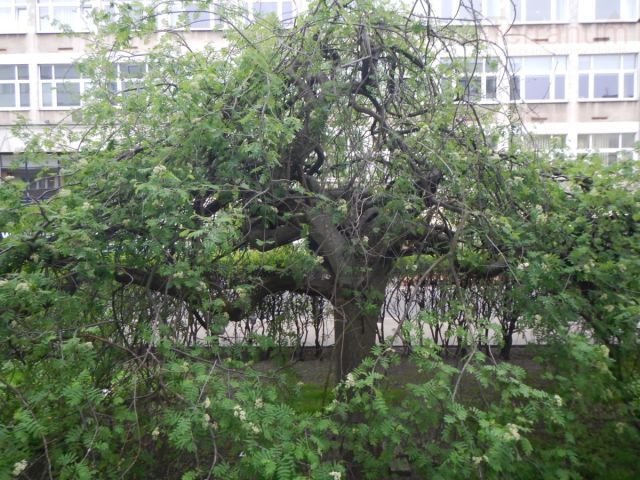 Mieszkanie 2-pokojowe Warszawa Śródmieście, ul. Świętojerska. Zdjęcie 17