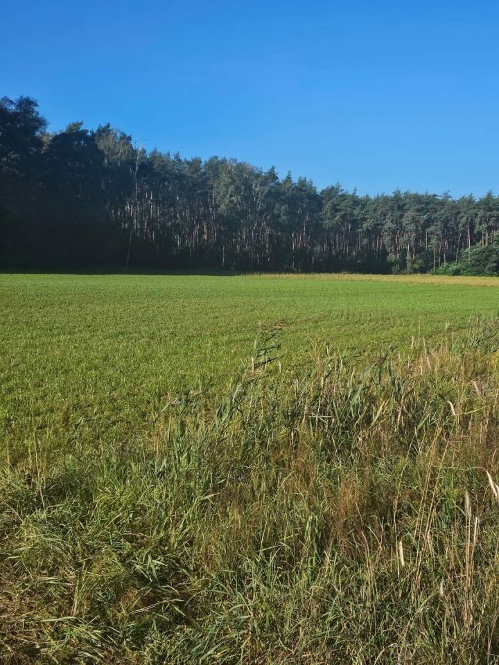 Działka budowlana Trzebiny. Zdjęcie 1