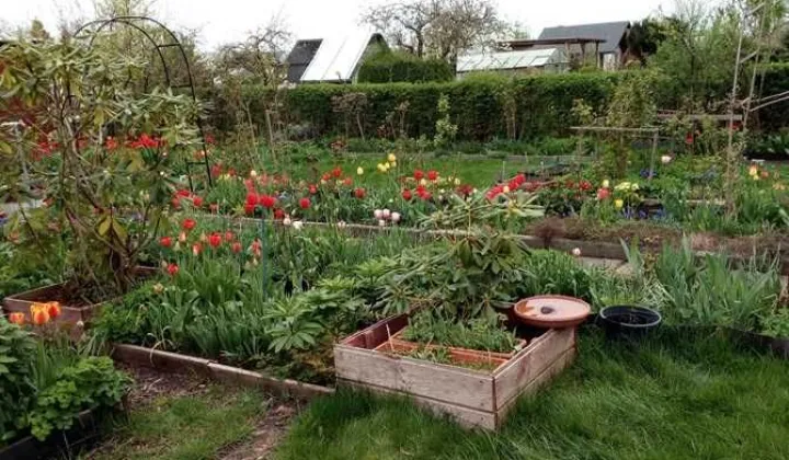 Działka rod Koszalin Jamno