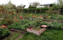 Działka rod Koszalin Jamno