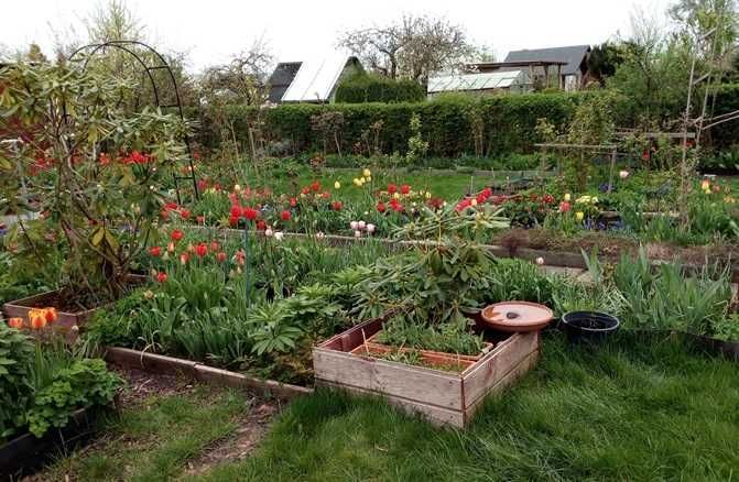 Działka rod Koszalin Jamno