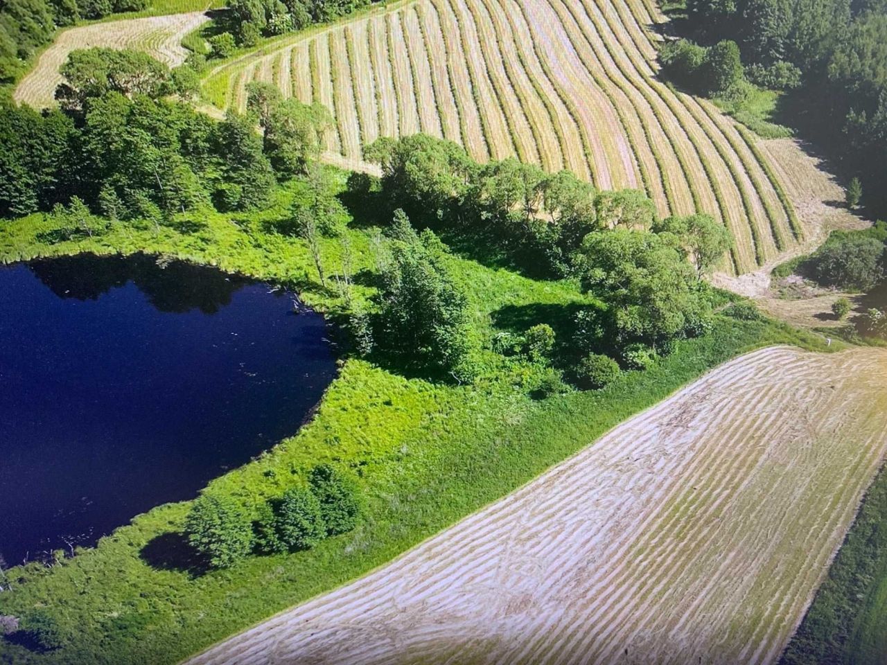 Działka inwestycyjna Malinka. Zdjęcie 3