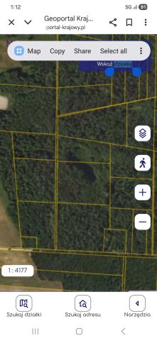 Działka leśna Jeżewo Stare. Zdjęcie 1