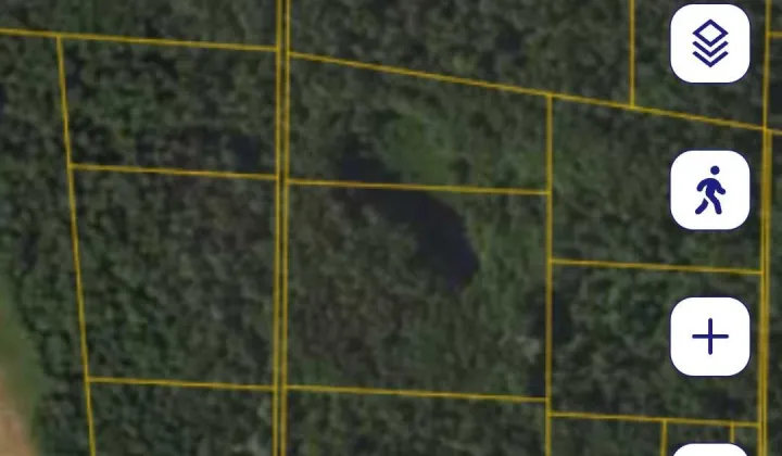 Działka leśna Jeżewo Stare